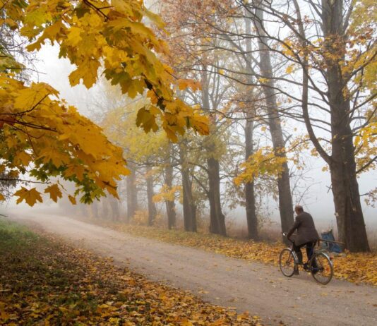 Тепло, заморозки та сніг: на яку погоду очікувати в жовтні?