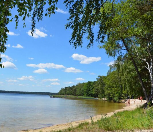 На позачерговій сесії облради депутати обговорили легальний видобуток базальту і бурштину в Рівненській області