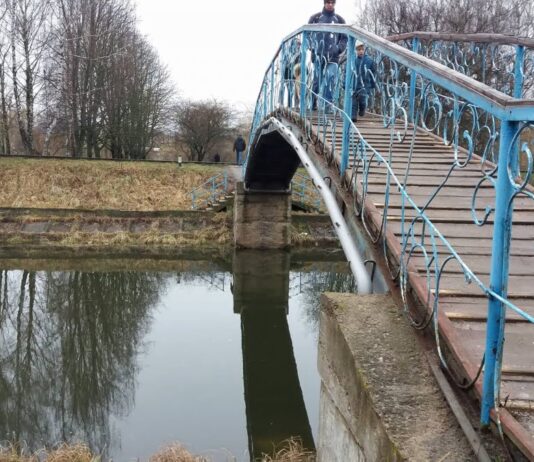 Хто рятуватиме головну річку міста?