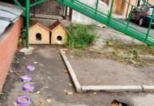У центрі Рівного влаштували «кото-хатинки»
