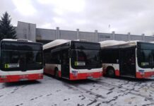 По улицам Ровно курсируют экологические автобусы