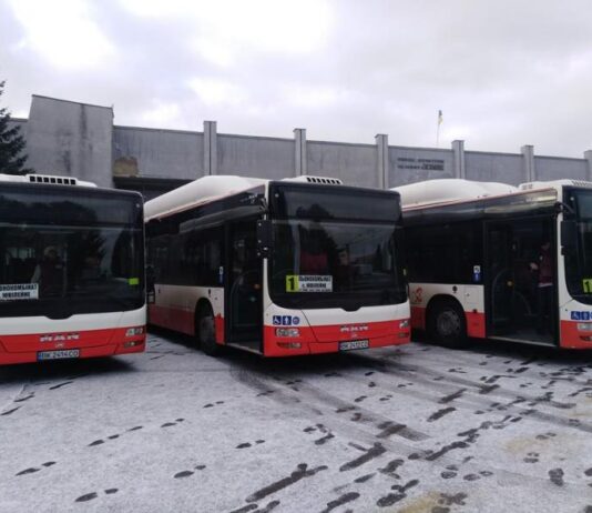 По улицам Ровно курсируют экологические автобусы