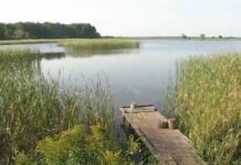Ловить раков и рыбу запретили на Ровенщине