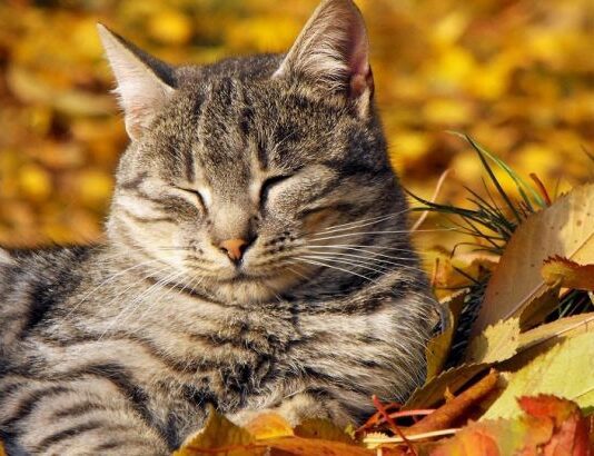 Ровенская область претендует на установление температурного рекорда