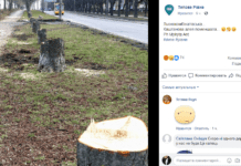 На месте живописной каштановой аллее в Ровно построят… заправку