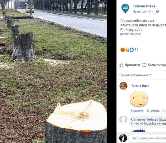 На місці мальовничої каштанової алеї у Рівному збудують… заправку