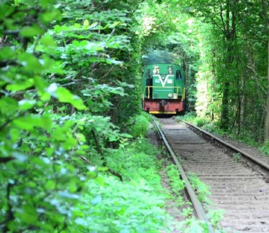 Тунель кохання: дивовижний природній об’єкт Рівненщини