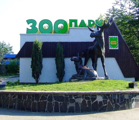 У Рівненському зоопарку одразу два поповнення: нова вантажівка для корму та нові мешканці – благородні олені