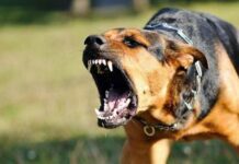 Частина Рівненщини опинилася в загрозливій зоні