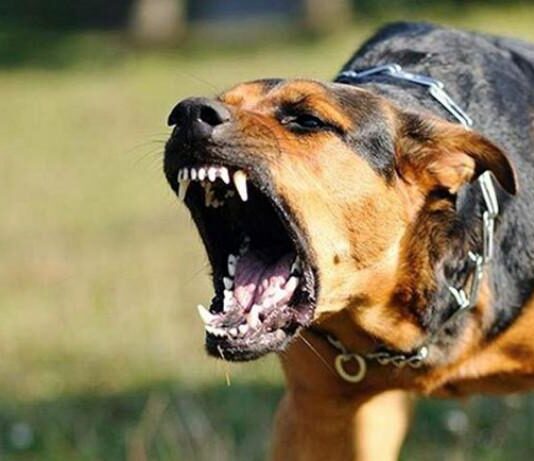 Частина Рівненщини опинилася в загрозливій зоні