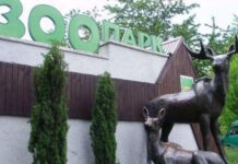 Работа Ровенского зоопарка в условиях военного положення