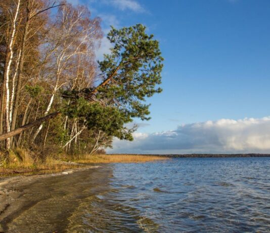 Історія Рівненського природного заповідника
