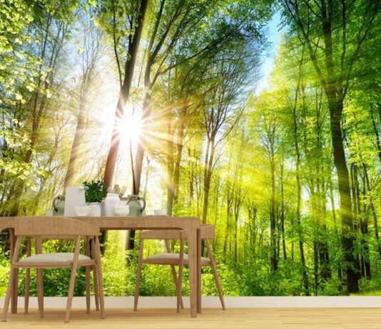 Вмикаємо екомислення: поради, які допоможуть зберегти чистоту Рівного