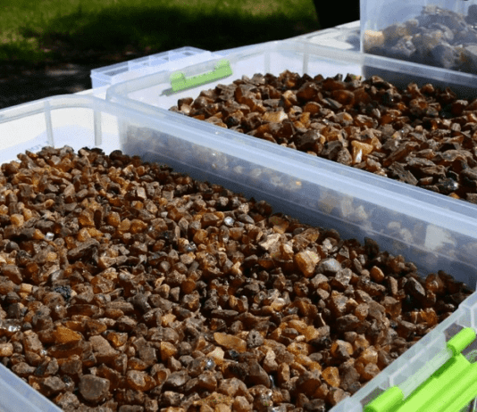 Історія видобутку бурштину в Рівному