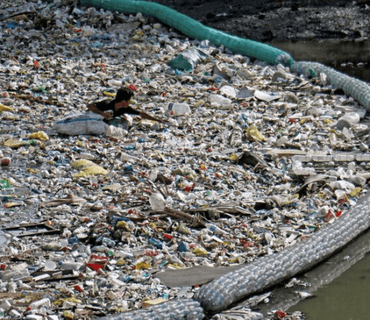Життя в еко стилі: як рівнянам допомогти навколишньому середовищу, не докладаючи зусиль