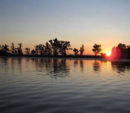 Перлина Полісся: чим приваблює туристів найбільше озеро на Рівненщині – Нобель