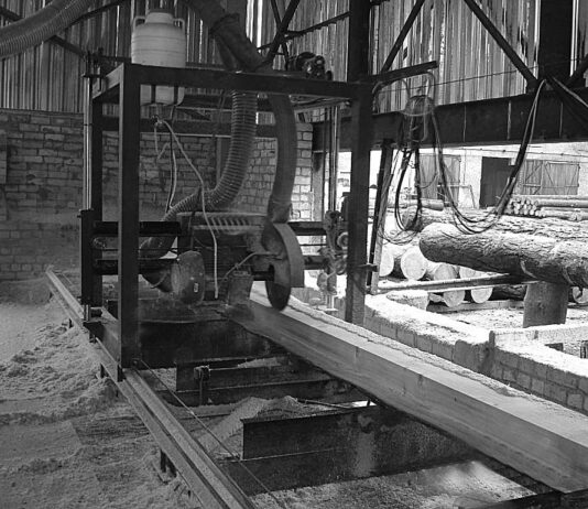 Підприємство, яке знала вся Європа: історія фанерного заводу Айзика Ейдельштейна в Костополі