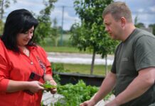 Як на Рівненщині працює равликова ферма “VerbaraVLyk2020”