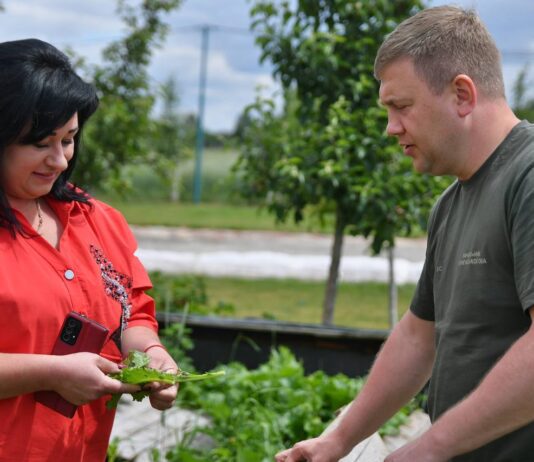 Як на Рівненщині працює равликова ферма “VerbaraVLyk2020”