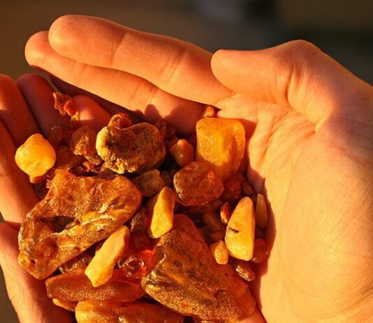 Історія «бурштинової лихоманки» на Рівненщині: як все починалось