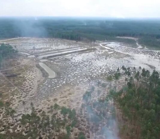 Були ліси – стала пустеля: які наслідки «бурштинової лихоманки» на Рівненщині