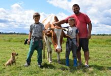 Молочна ферма на Рівненщині: історія одного сімейного бізнесу