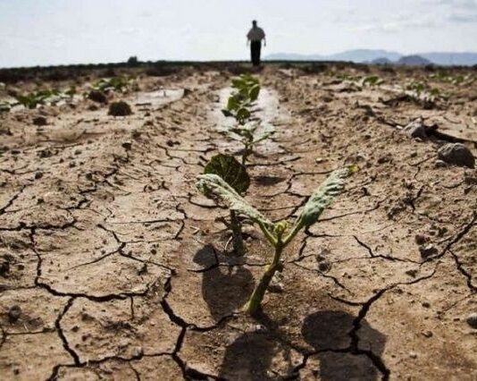 Зміни клімату та аграрна галузь Рівненщини