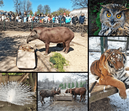 Від початків і до сьогодні: історія становлення рівненського зоопарку