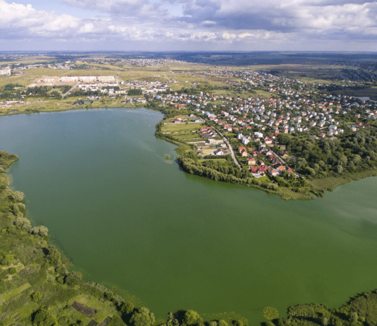 Не озеро, а стічна канава: чому у Рівному нікому немає діла до забрудненої Басівкутської водойми?