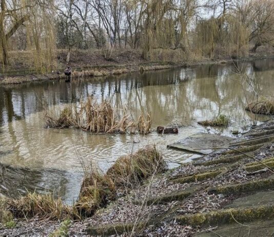 Состояние экологии на Ровенщине