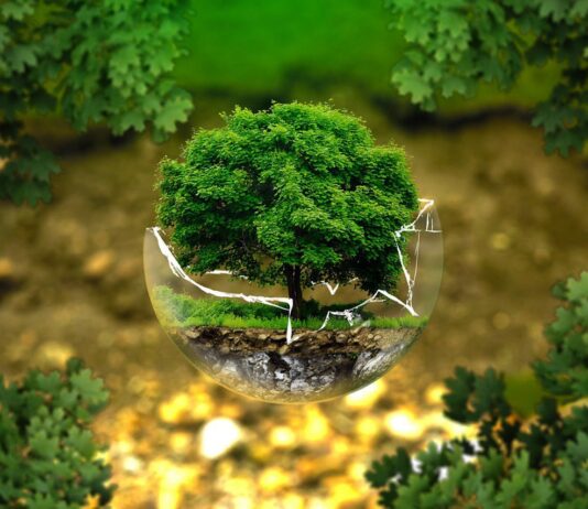 Ровенская природоохранная общественная организация «Экоклуб» Ровно работает для защиты окружающей среды