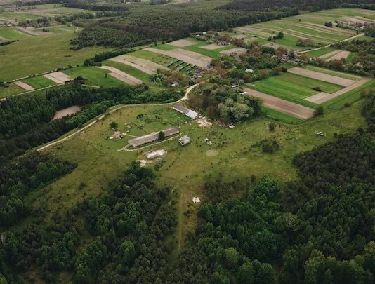 Эко-ферма «Зеленый Дуб» на Ровенщине — уникальное место с живописными видами