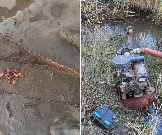 О незаконной добыче полезных ископаемых в Ровенской области и борьбе с этим явлением