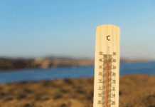 Зміни клімату в Рівному: як місто бореться з негативними наслідками глобального потепління