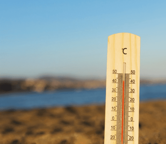 Зміни клімату в Рівному: як місто бореться з негативними наслідками глобального потепління