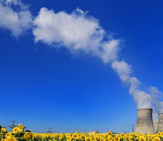 Рівненська атомна електростанція: історія та сучасні виклики