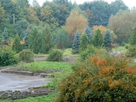 О Березнивском дендрологическом парке на Ровенщине