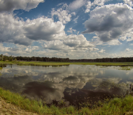 Мальовничий куточок Полісся: чим приваблює Боберське водосховище