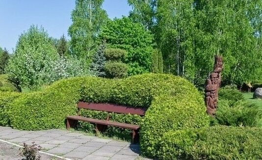 Место силы: почему стоит посетить Клесовский дендропарк на Ровенщине?