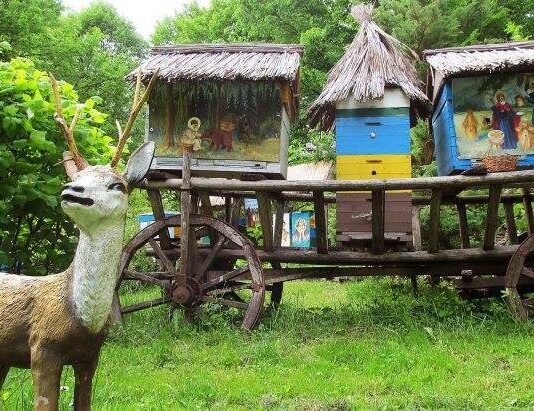 Медовое дело: развитие пчеловодства в Ровно